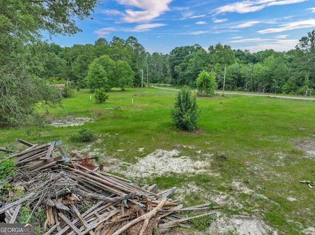 336 Green Valley Rd Unit 181, Sylvester, GA 31791