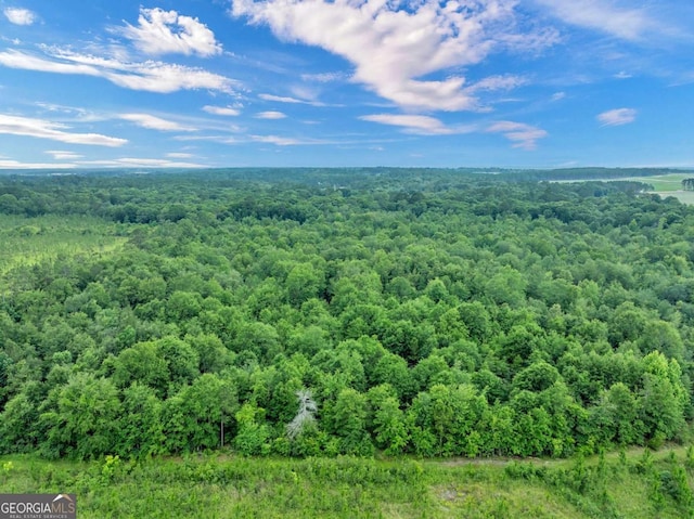 336 Green Valley Rd Unit 181, Sylvester, GA 31791