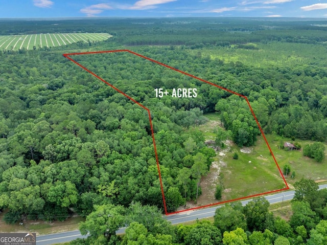 336 Green Valley Rd Unit 181, Sylvester, GA 31791