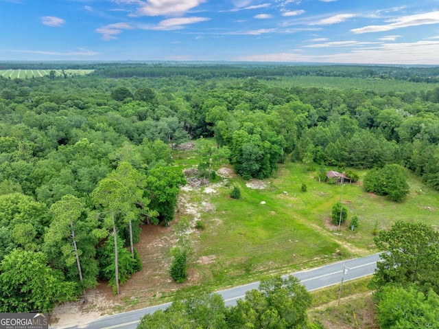 336 Green Valley Rd Unit 181, Sylvester, GA 31791