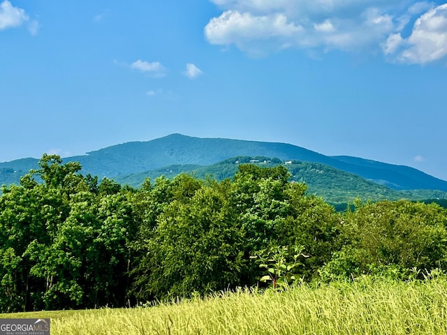 26 Ridgemont Ln, Ellijay, GA 30536