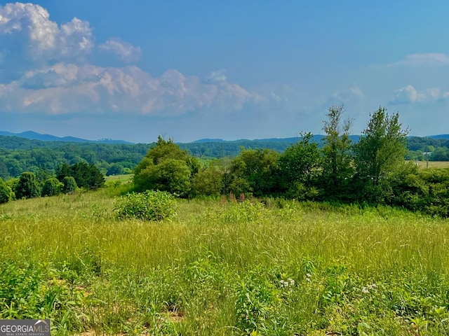 26 Ridgemont Ln, Ellijay, GA 30536