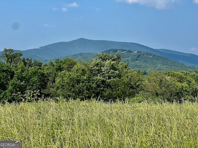 26 Ridgemont Ln, Ellijay, GA 30536
