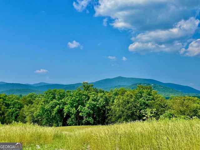 26 Ridgemont Ln, Ellijay, GA 30536