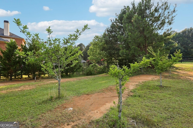 3480 Indian Shoals Rd, Dacula, GA 30019 - view of green lawn