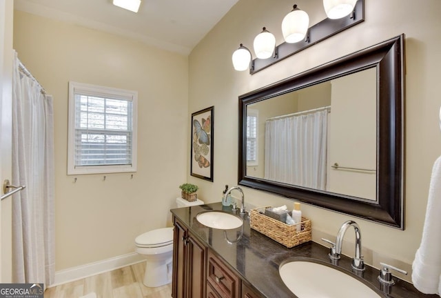 243 Degroff Ln, Rabun Gap, GA 30568 - full bathroom with double vanity, toilet, baseboards, and wood finished floors