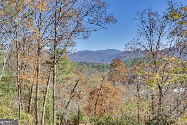 243 Degroff Ln, Rabun Gap, GA 30568 - view of mountain backdrop with a forest
