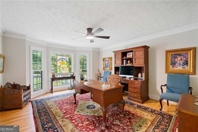 226 Nacoochee Dr, Woodstock, GA 30188 - office featuring ceiling fan, a textured ceiling, light wood-style flooring, and ornamental molding