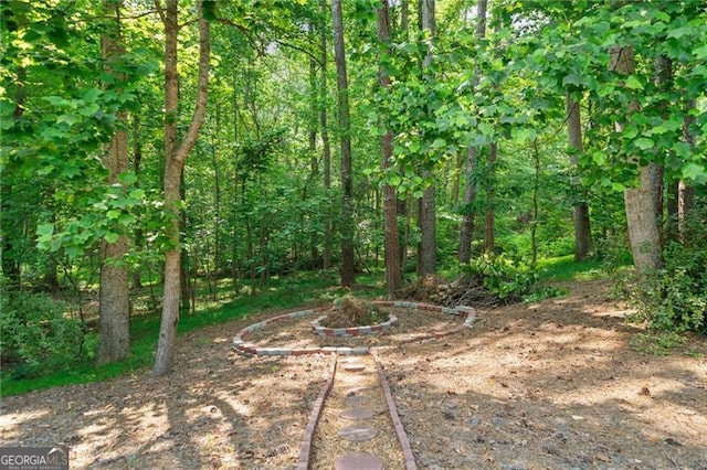226 Nacoochee Dr, Woodstock, GA 30188 - view of yard featuring an outdoor fire pit and a forest view