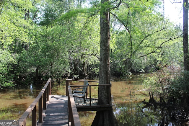 2879 Mcmillan Jernigan, Enigma, GA 31749 - dock area with a forest view and a water view