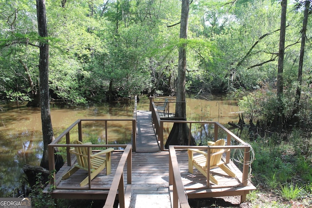 2879 Mcmillan Jernigan, Enigma, GA 31749 - dock featuring a forest view and a water view