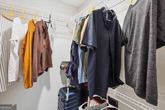 178 Stonebrook Way, Statesboro, GA 30458 - view of spacious closet