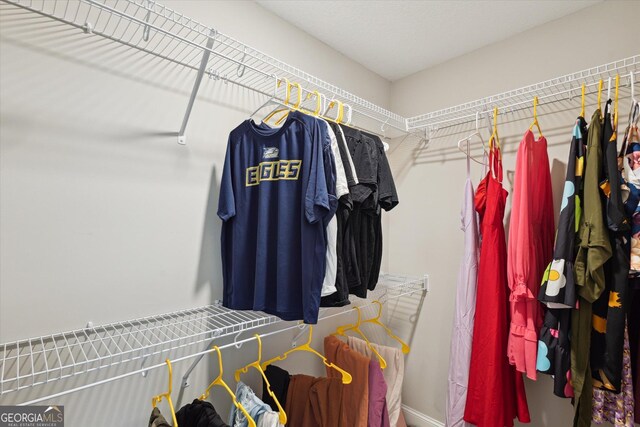 178 Stonebrook Way, Statesboro, GA 30458 - view of spacious closet