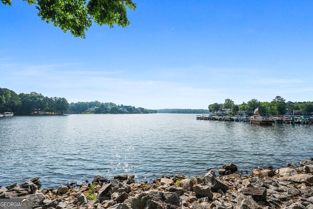 1010 Longcreek Pointe Pointe, Alpharetta, GA 30005 - water view