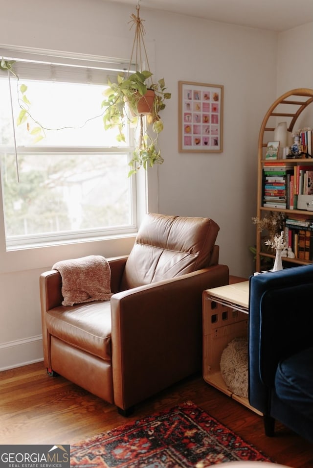 351 Cherokee Ave SE Apt 10, Atlanta, GA 30312 - living area with wood finished floors