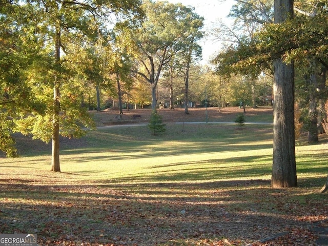 351 Cherokee Ave SE Apt 10, Atlanta, GA 30312 - view of property's community featuring a lawn