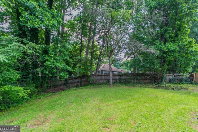 1214 Tyne Way, Stone Mountain, GA 30088 - view of yard