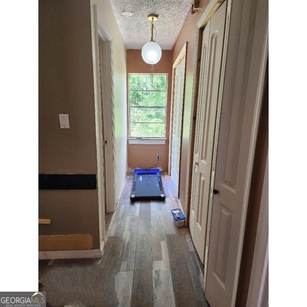 617 Willard Ave, Albany, GA 31701 - hallway with wood finished floors and a textured ceiling