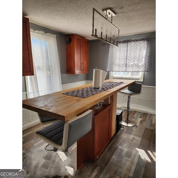 617 Willard Ave, Albany, GA 31701 - kitchen with wooden counters, a wainscoted wall, dark wood-type flooring, plenty of natural light, and a textured ceiling
