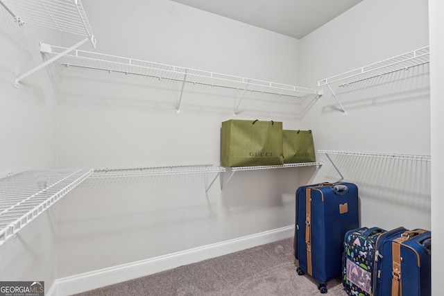 4012 Townsend Ln, Dunwoody, GA 30346 - walk in closet featuring carpet flooring