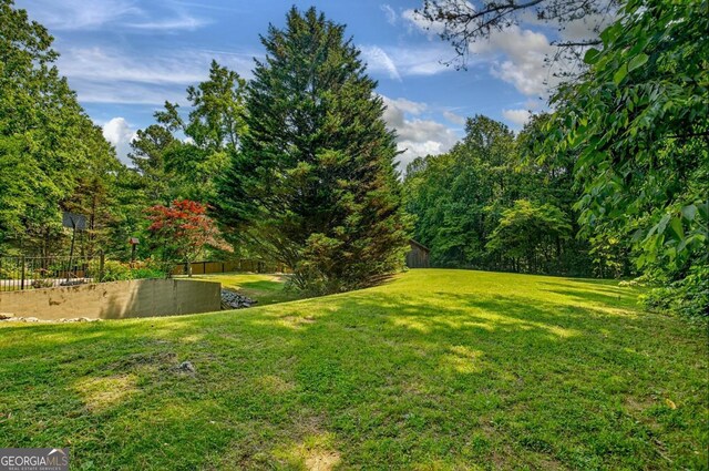 312 Sterling Rd, Jasper, GA 30143 - view of yard