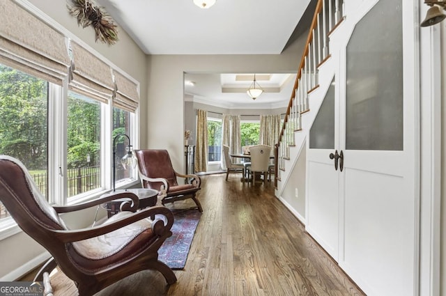 312 Sterling Rd, Jasper, GA 30143 - sitting room featuring crown molding, healthy amount of natural light, stairs, wood finished floors, and a tray ceiling