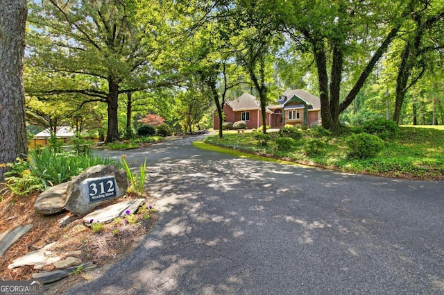 312 Sterling Rd, Jasper, GA 30143 - view of asphalt driveway