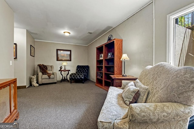 312 Sterling Rd, Jasper, GA 30143 - living room with carpet floors