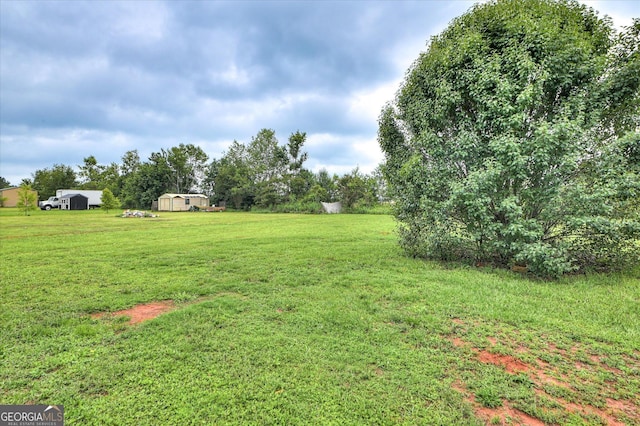 2011 Mims Rd, Hephzibah, GA 30815 - view of green lawn