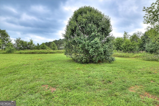 2011 Mims Rd, Hephzibah, GA 30815 - view of grassy yard