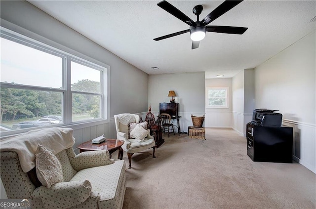 141 Holcomb Spur NW, Adairsville, GA 30103 - sitting room with carpet floors, wainscoting, and a ceiling fan