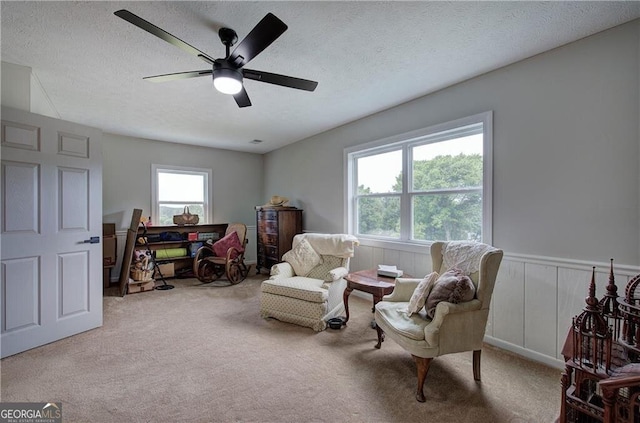 141 Holcomb Spur NW, Adairsville, GA 30103 - sitting room featuring carpet flooring, a ceiling fan, and a textured ceiling