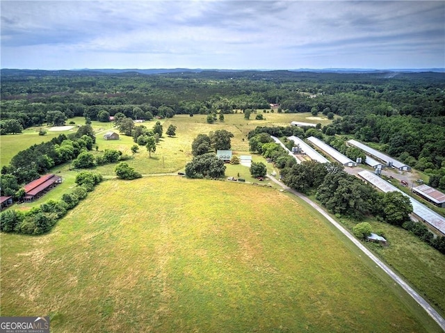 141 Holcomb Spur NW, Adairsville, GA 30103 - aerial view of a forest