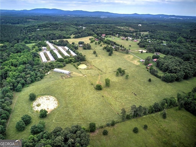 141 Holcomb Spur NW, Adairsville, GA 30103 - view of property location with mountains and rural landscape