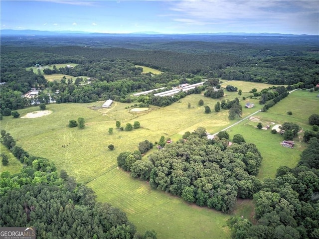 141 Holcomb Spur NW, Adairsville, GA 30103 - view of rural area with a forest