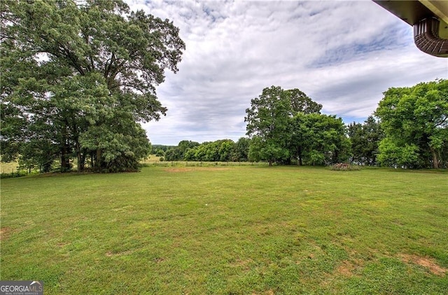 141 Holcomb Spur NW, Adairsville, GA 30103 - view of grassy yard
