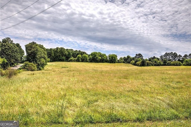 141 Holcomb Spur NW, Adairsville, GA 30103 - view of undeveloped land featuring rural landscape