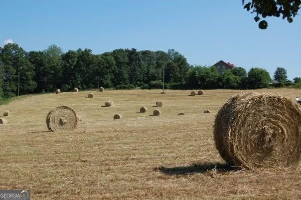 141 Holcomb Spur NW, Adairsville, GA 30103 - view of undeveloped land with rural landscape