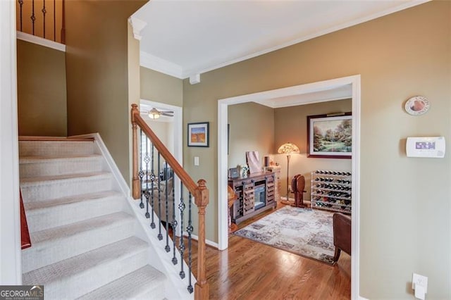 262 Sandhurst Ct, Suwanee, GA 30024 - stairs with wood finished floors, crown molding, baseboards, and a ceiling fan