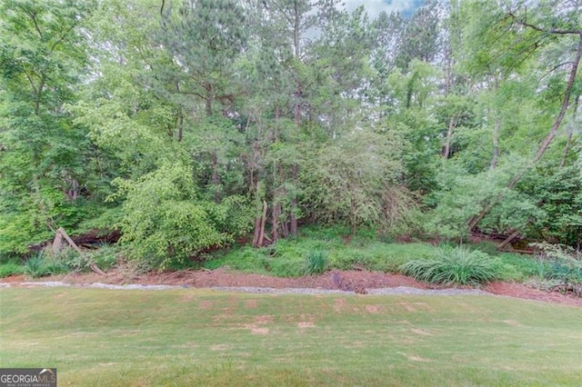 262 Sandhurst Ct, Suwanee, GA 30024 - view of green lawn