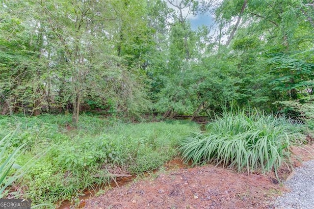 262 Sandhurst Ct, Suwanee, GA 30024 - view of yard