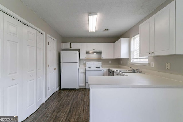 256 Turnstone Rd, Stockbridge, GA 30281 - kitchen featuring white appliances, under cabinet range hood, light countertops, dark wood-style flooring, and a peninsula