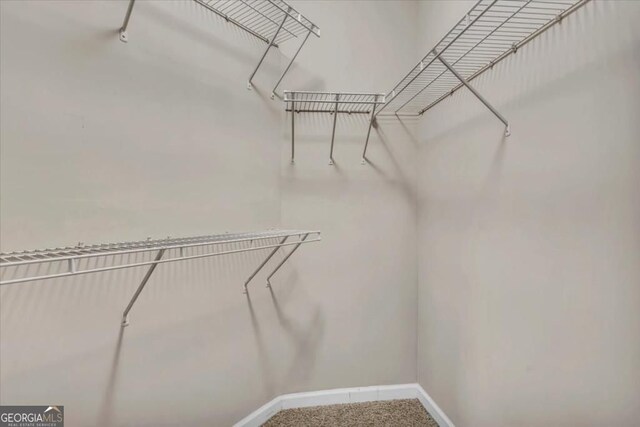1850 Cotillion Dr Unit 3305, Dunwoody, GA 30338 - walk in closet featuring carpet floors