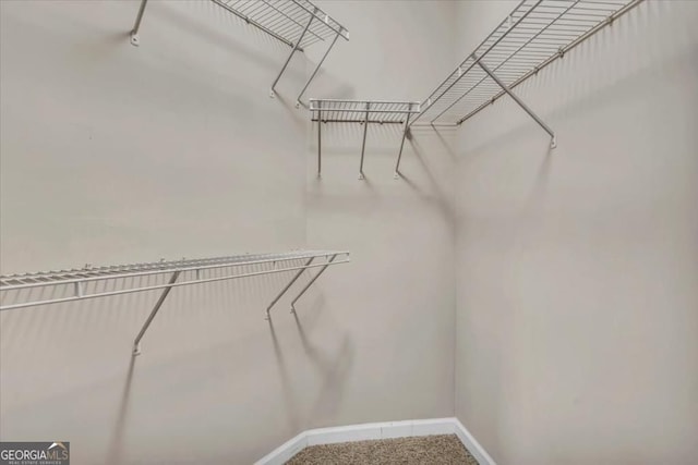 1850 Cotillion Dr Unit 3305, Dunwoody, GA 30338 - walk in closet featuring carpet