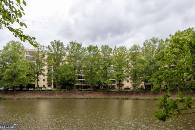 1800 Clairmont Lk Unit 216, Decatur, GA 30033 - water view