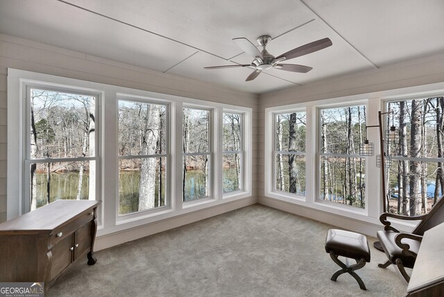 201 Hickory Hill Ln, Martin, GA 30557 - sunroom / solarium with healthy amount of natural light and carpet