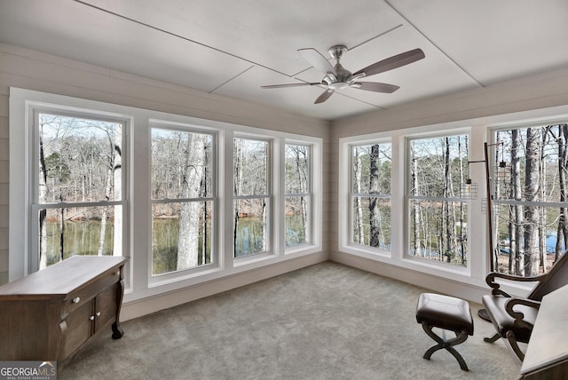 201 Hickory Hill Ln, Martin, GA 30557 - sunroom with healthy amount of natural light and carpet floors