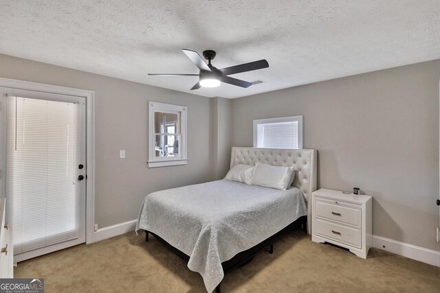 201 Hickory Hill Ln, Martin, GA 30557 - bedroom with multiple windows, light colored carpet, baseboards, and a textured ceiling