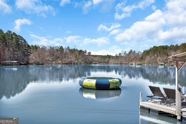 201 Hickory Hill Ln, Martin, GA 30557 - dock featuring a water view and a wooded view