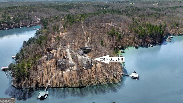 201 Hickory Hill Ln, Martin, GA 30557 - aerial view of property's location with a heavily wooded area and a nearby body of water
